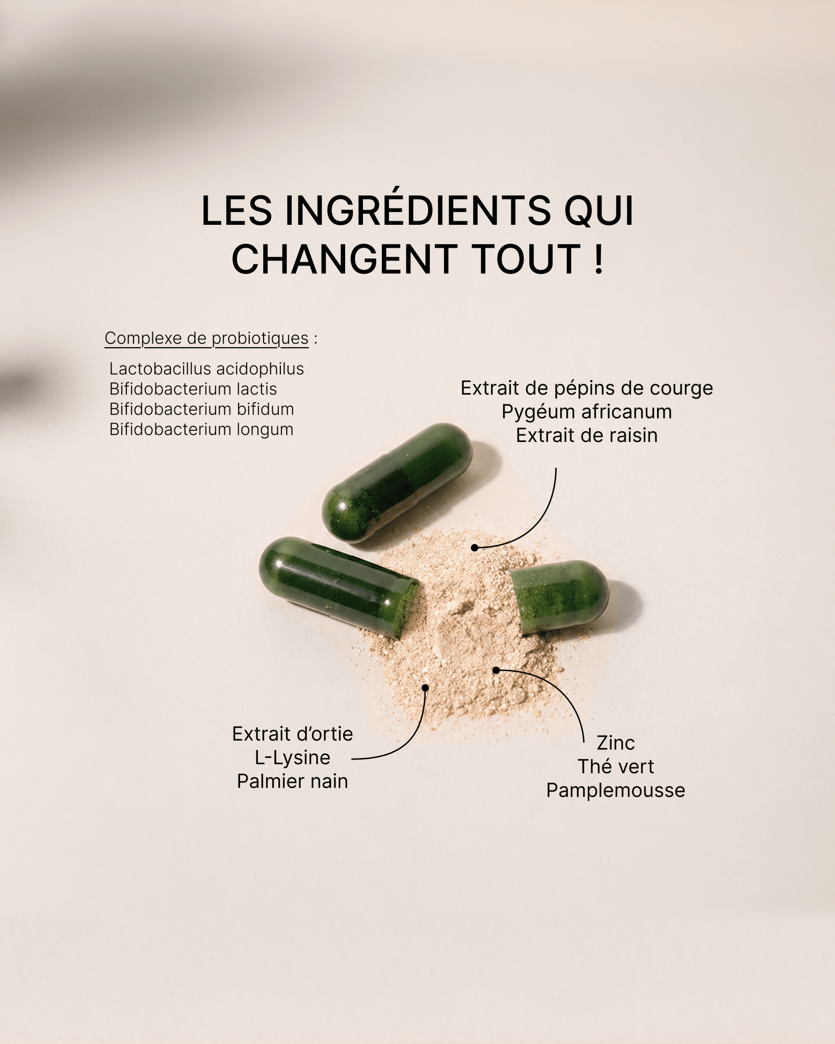 DHT Control | Complexe Anti-Chute