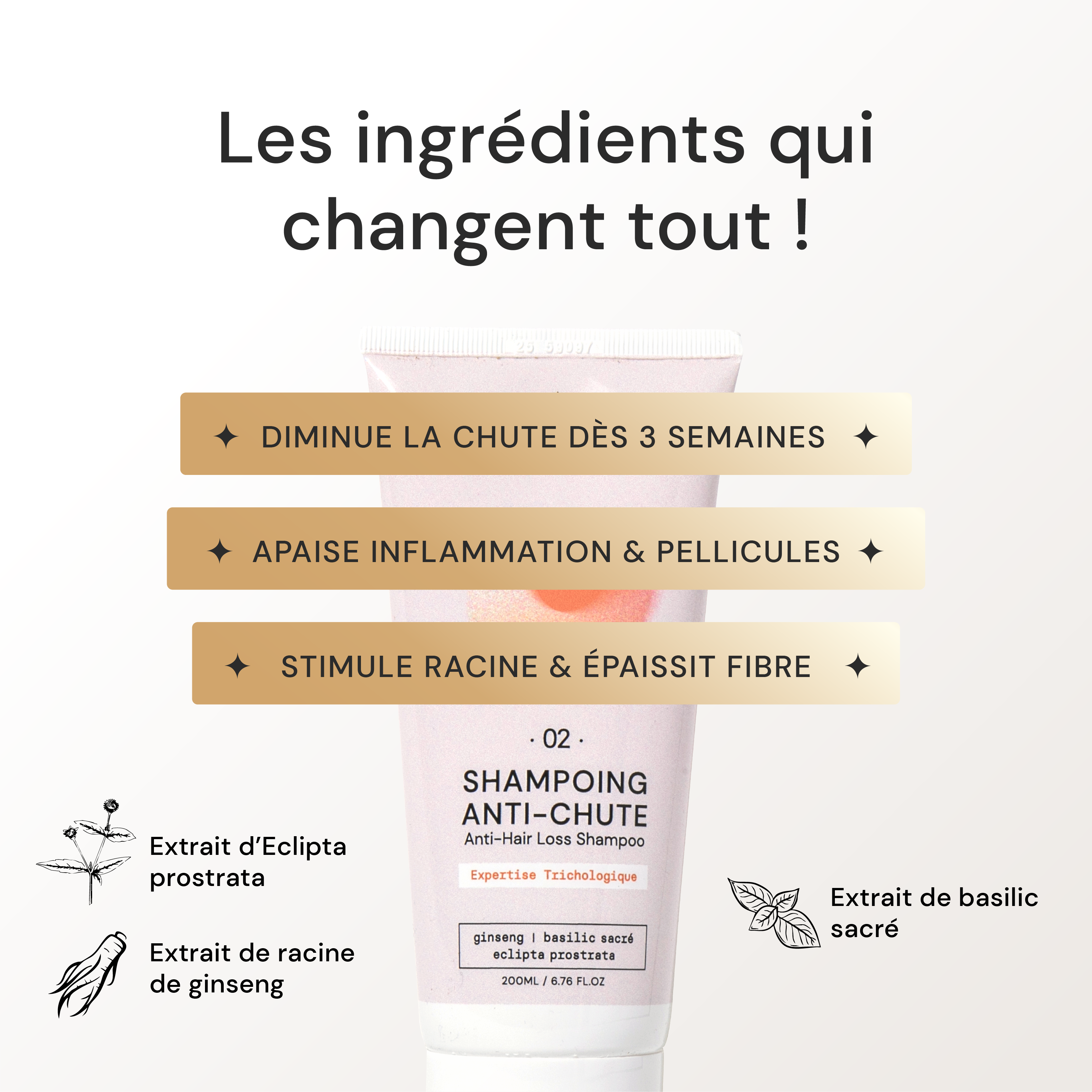 Pack Chute de cheveux