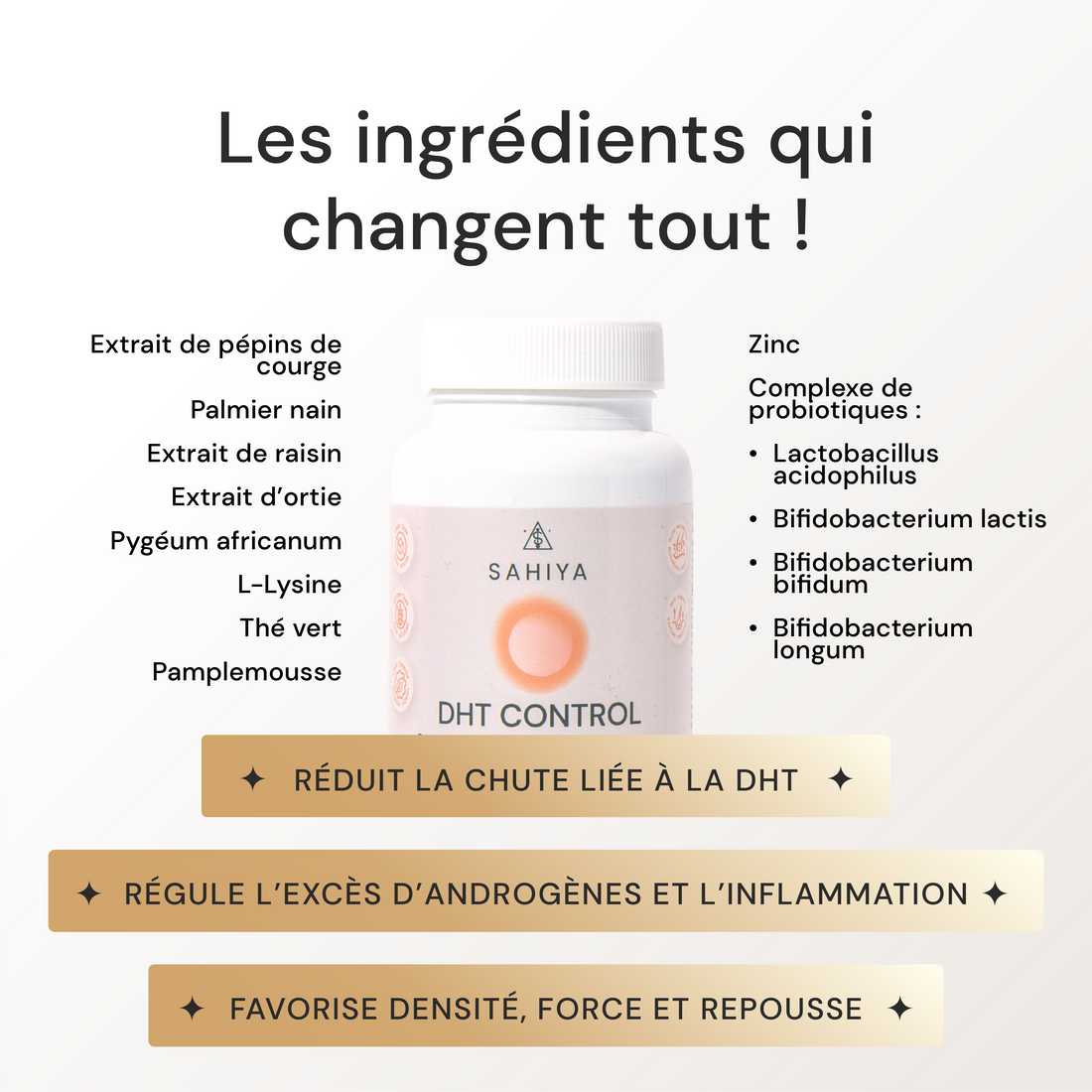 DHT Control | Complexe Anti-Chute