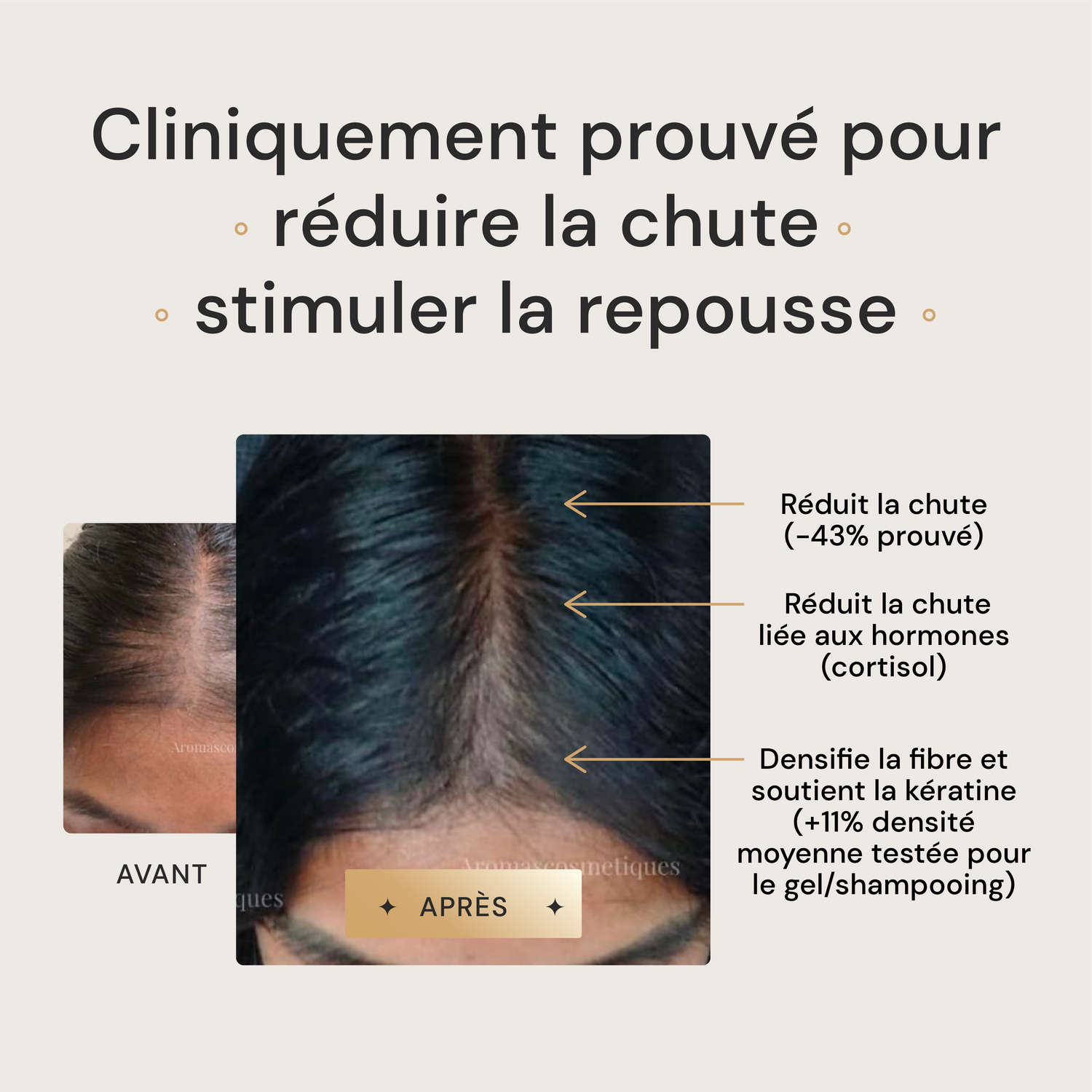 Shampoing Anti-Chute