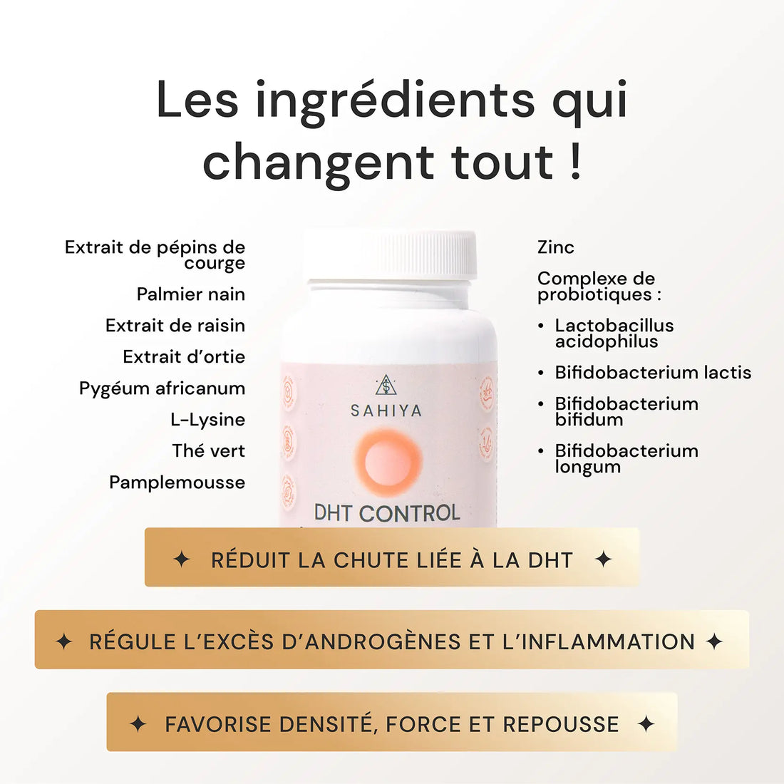 DHT Control | Complexe Anti-Chute