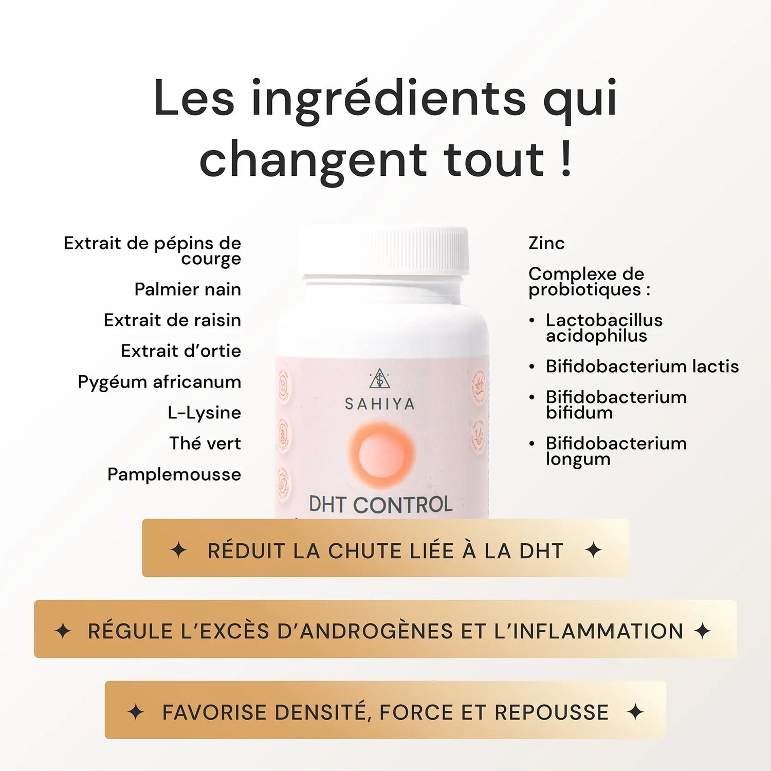 DHT Control | Complexe Anti-Chute