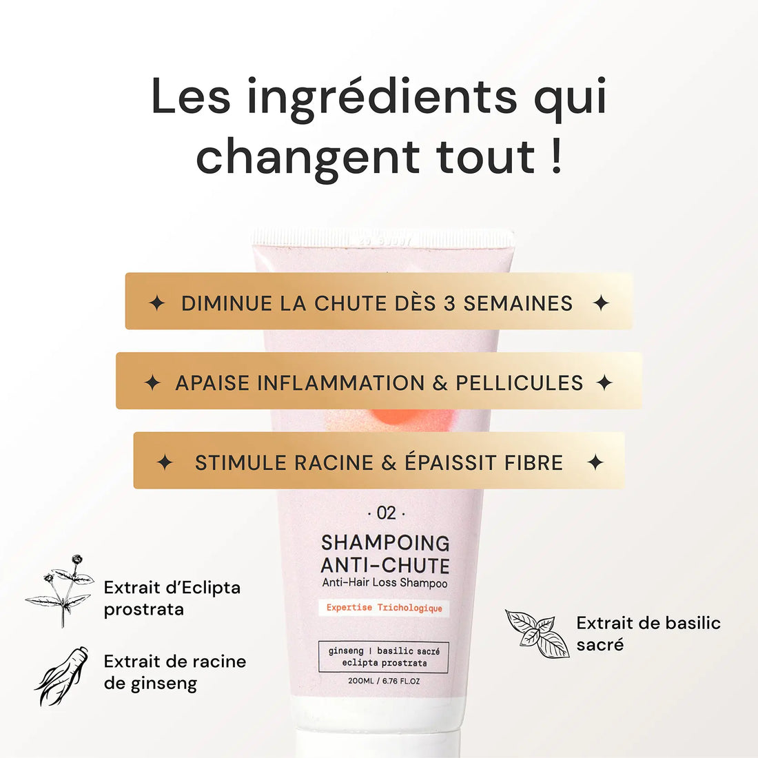 Shampoing Anti-Chute